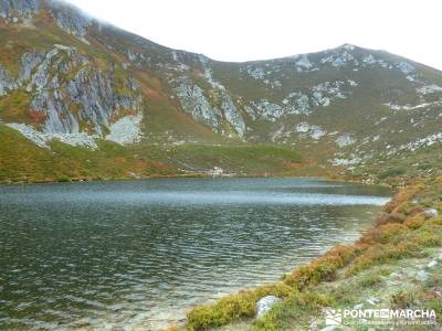 Hayedos Parque Natural de Redes;viajes en octubre viajes verano viaje fin de año